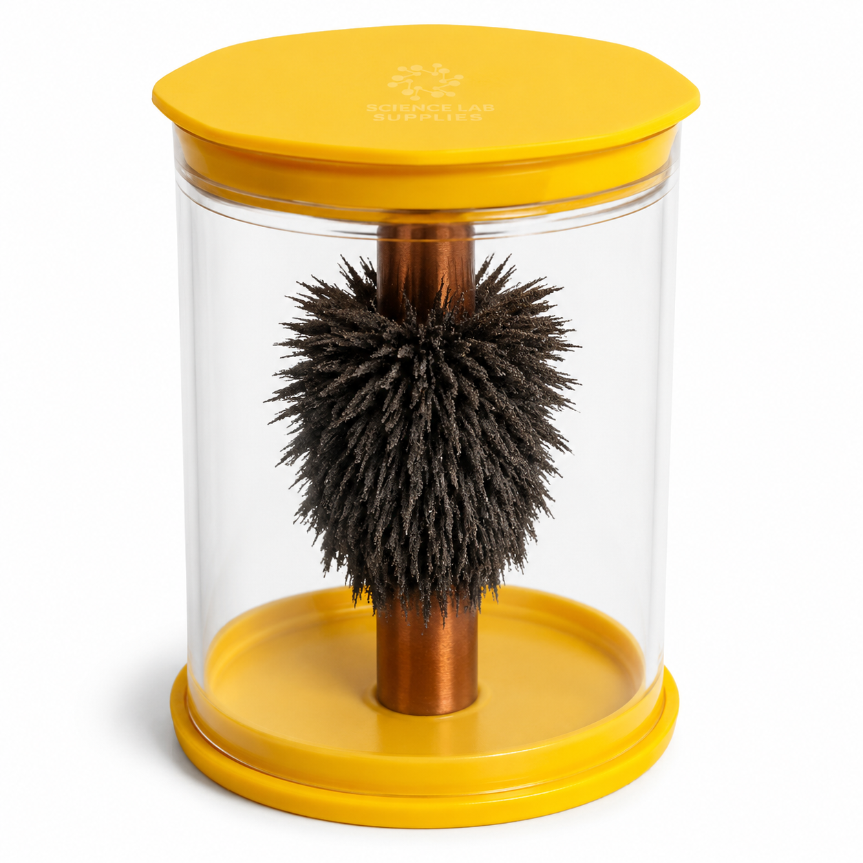 Magnetic Field Tube