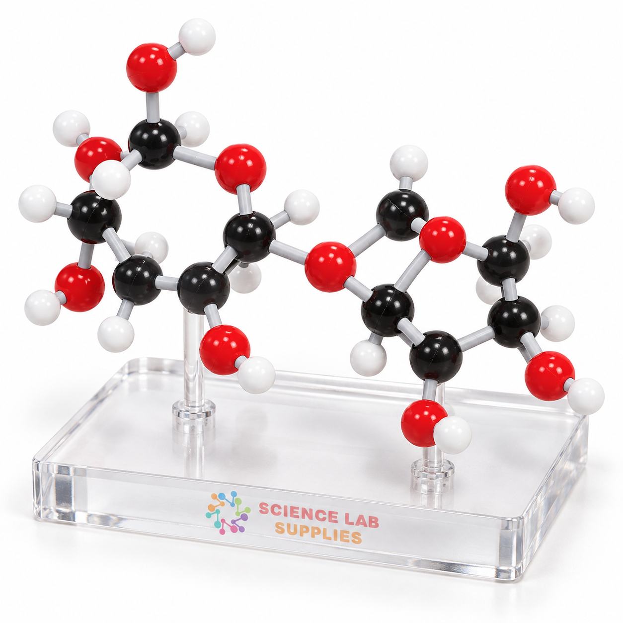 Molecular Model Set - Sucrose
