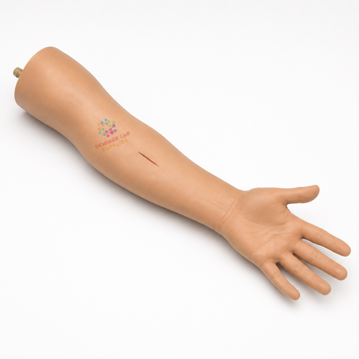 Suturing Practice Arm Model
