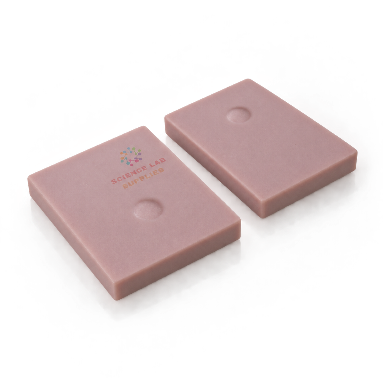 Lipoma Resection Exercise Module (2 pieces)