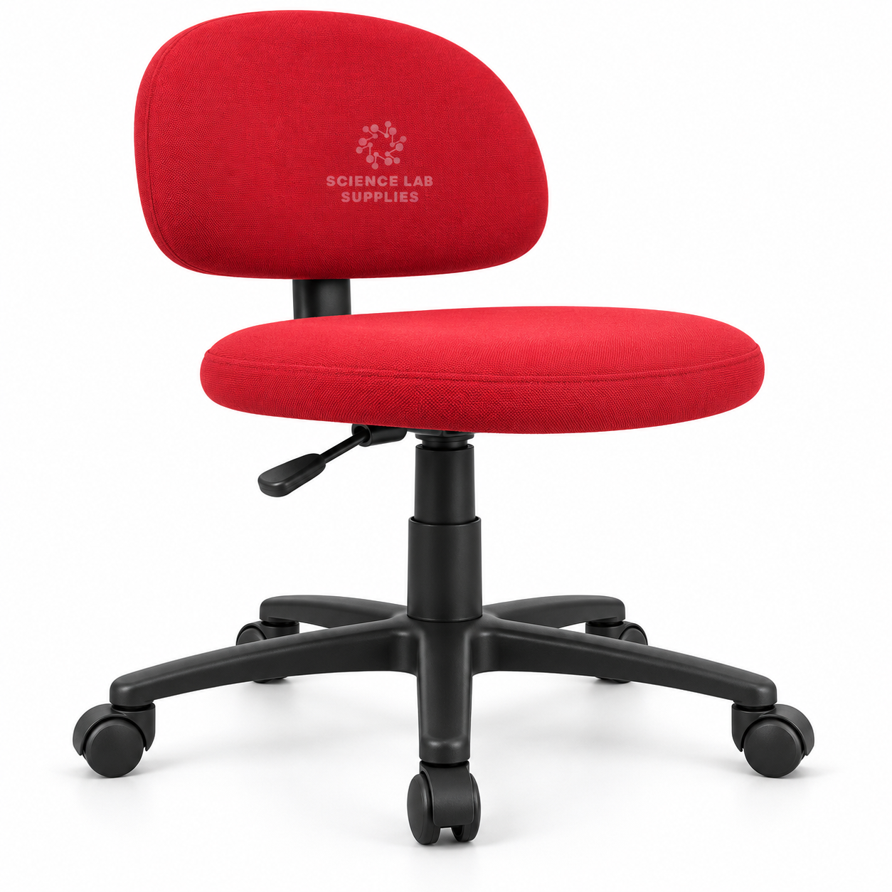 Trainer&rsquo;s Chair