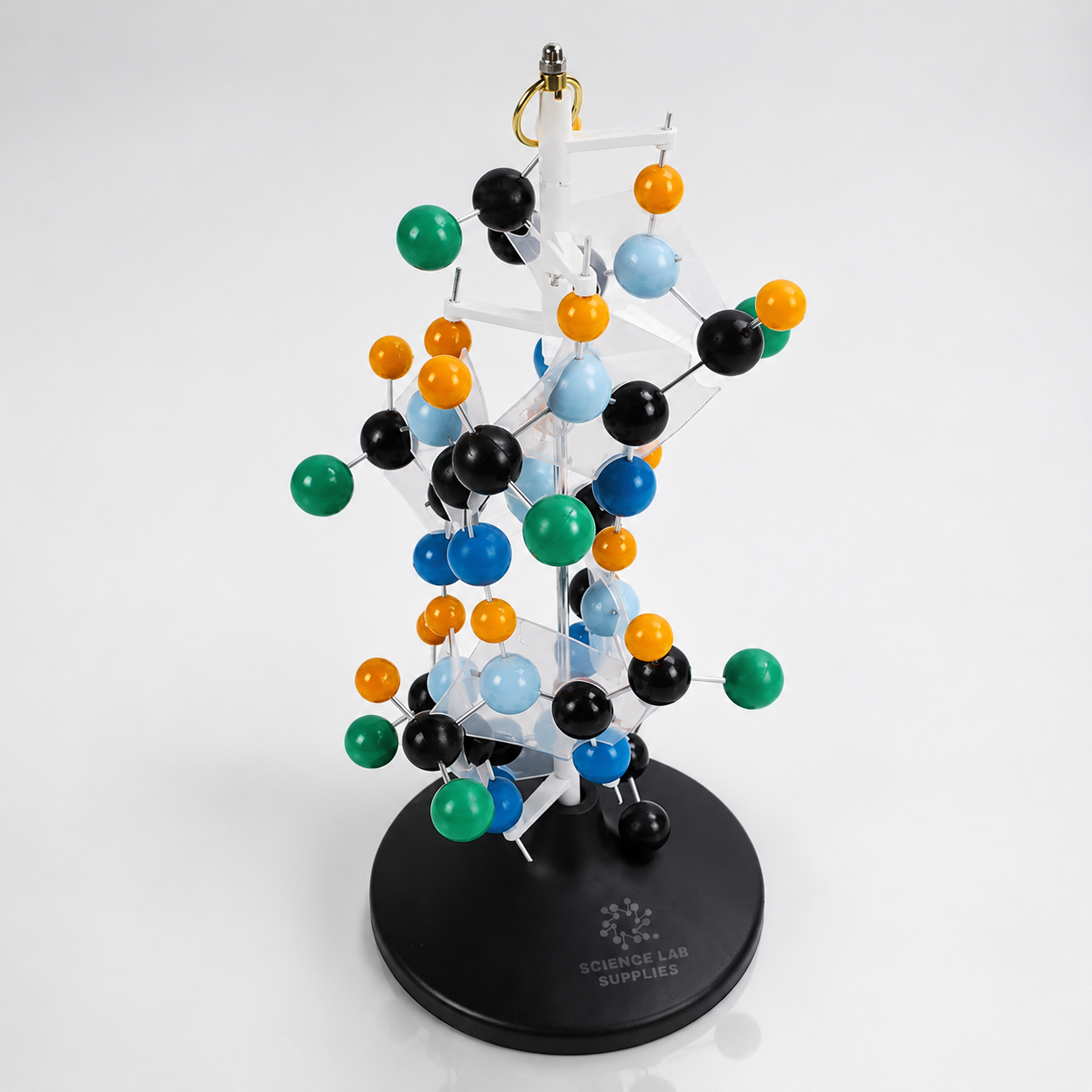 Protein Structure Model